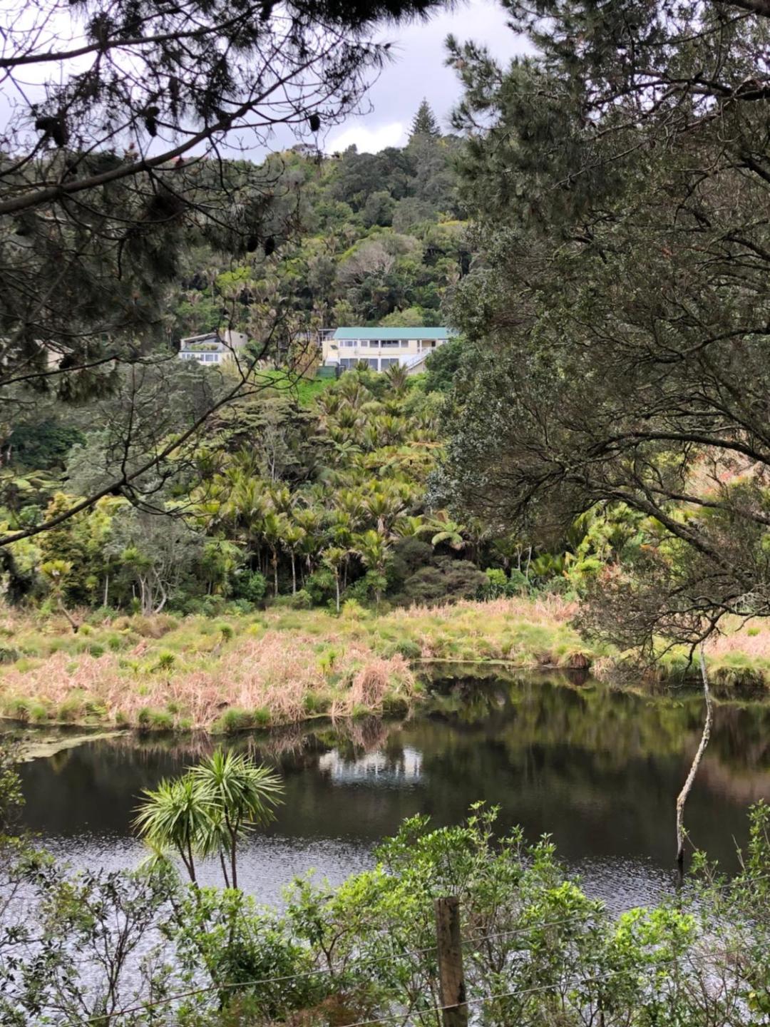 Freshly Renovated Apartment Near Muriwai Beach 5