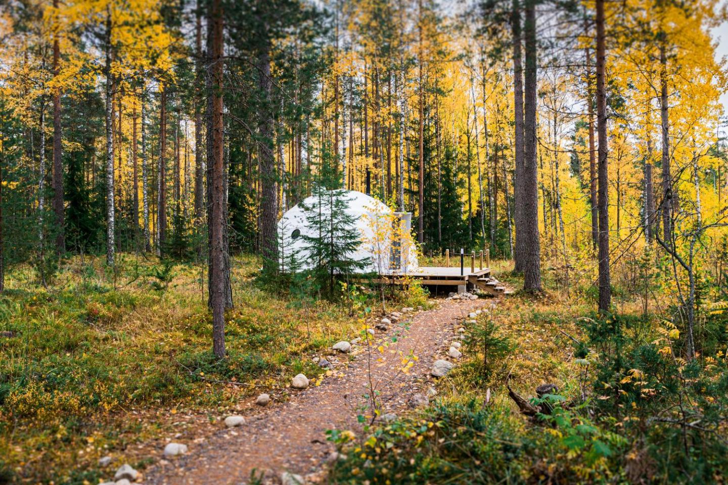 Igloo Glamping Lakeland Camp 5