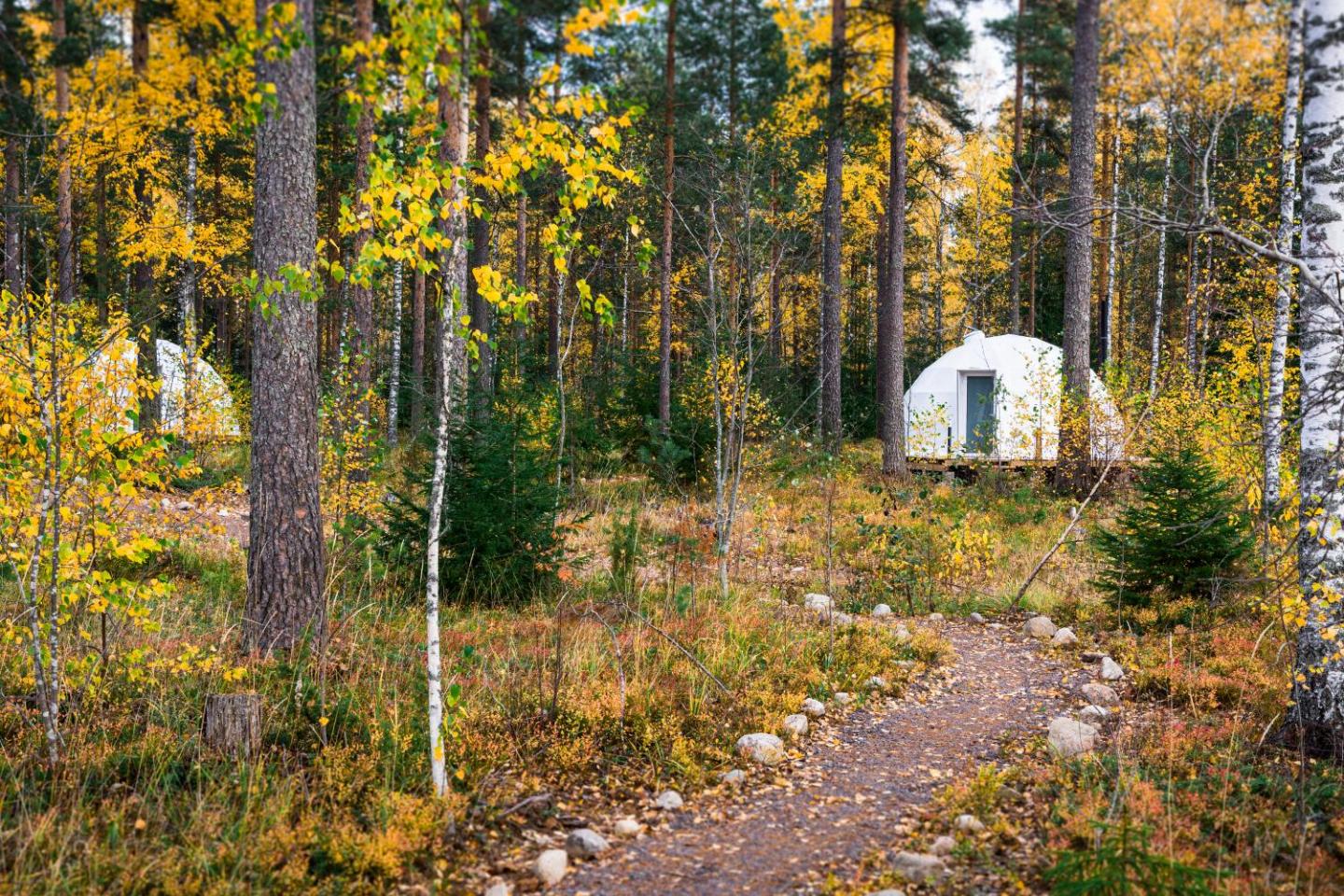 Igloo Glamping Lakeland Camp 3