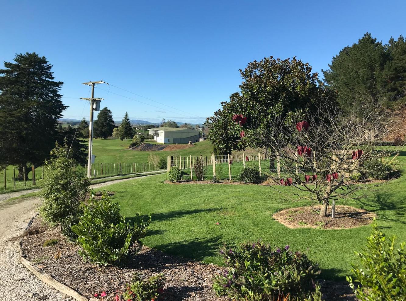 Waitomo Golf Ridge 3