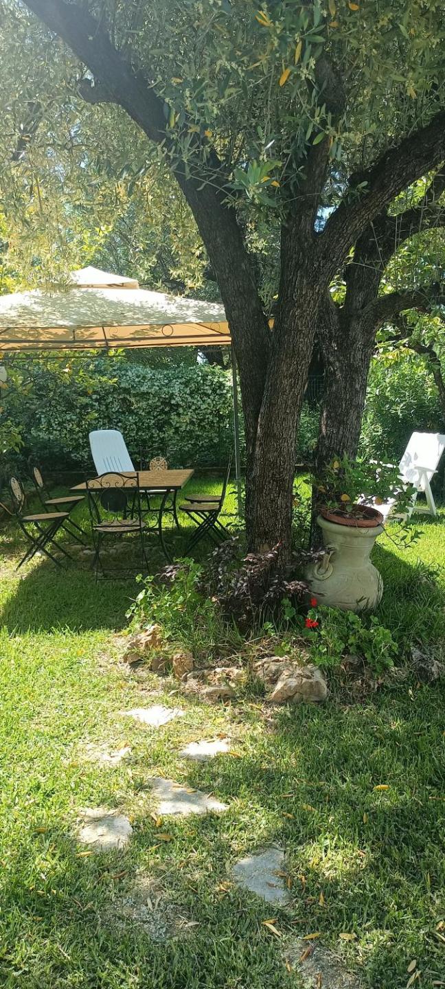 Appartamento 2 camere, con giardino