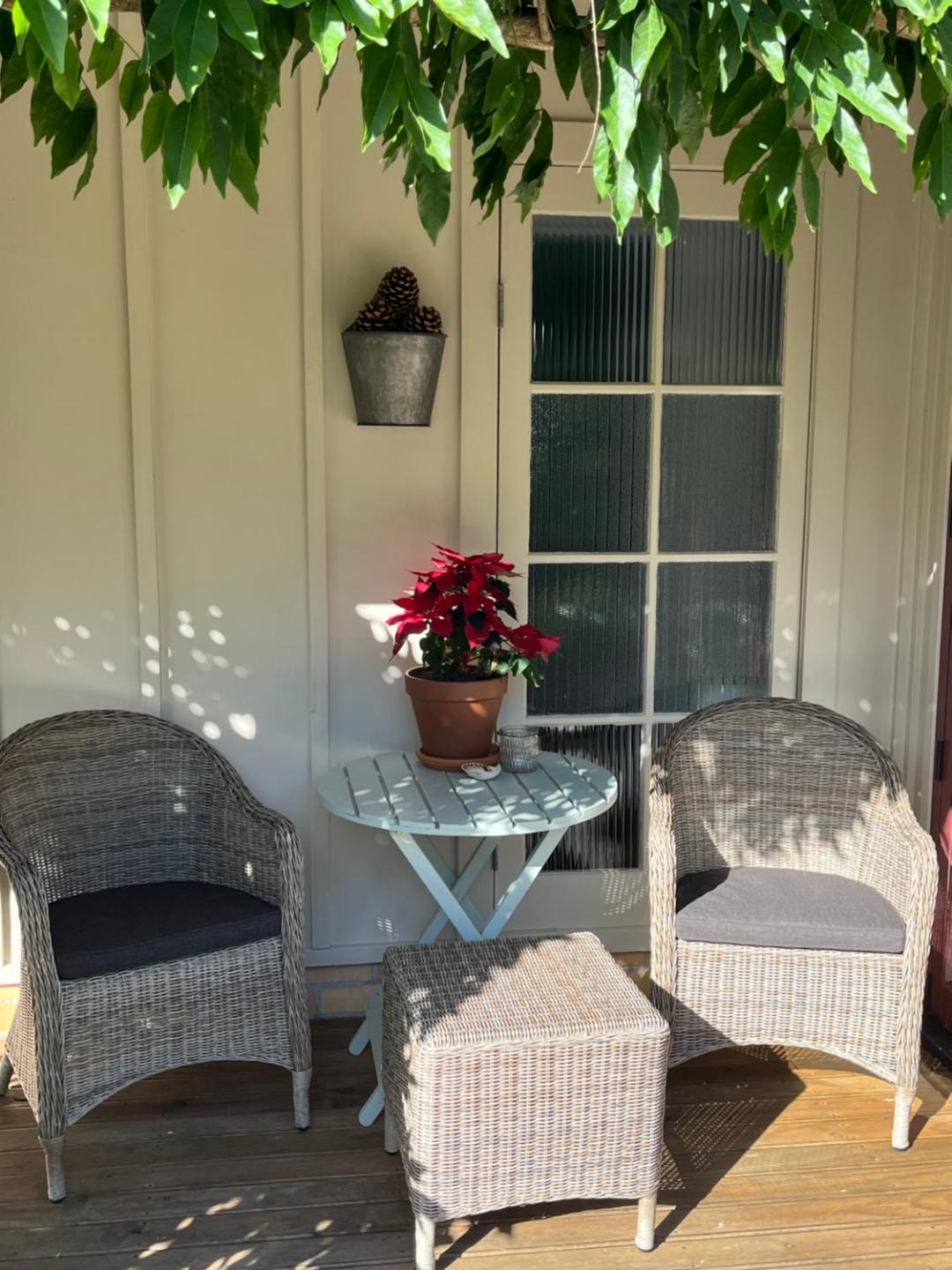 Tasman Village Cottage 5