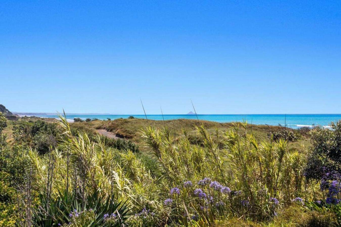 Beach Bach On The Dune Trails 3