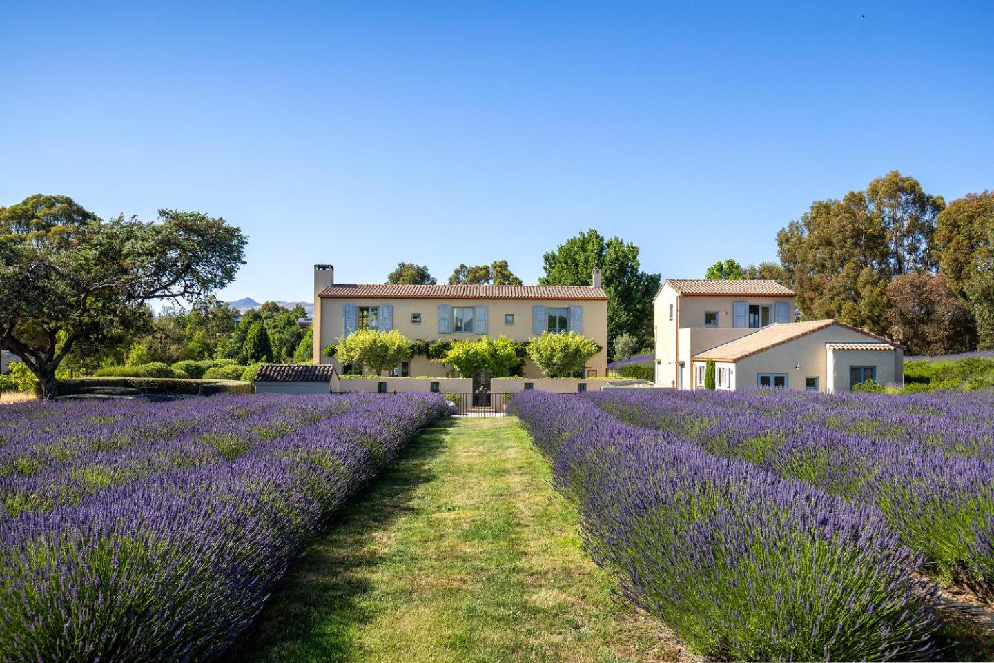 French Fields 4