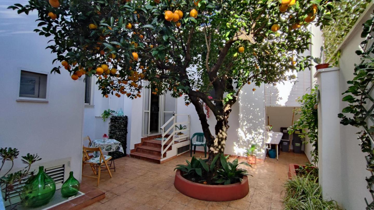 Appartamento 1 camera, con giardino