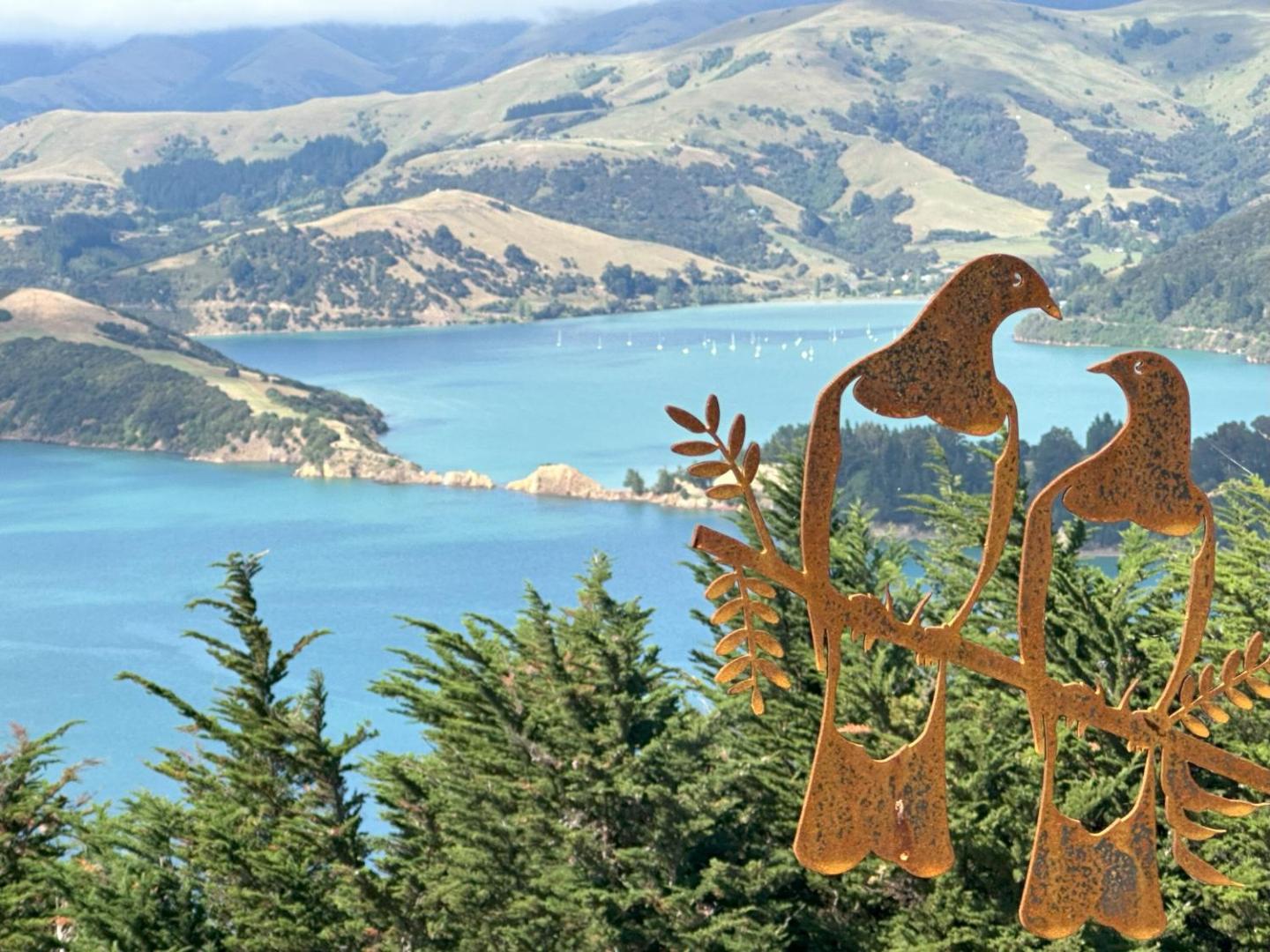 Kūkupa Matairangi At Akaroa Lavender 2