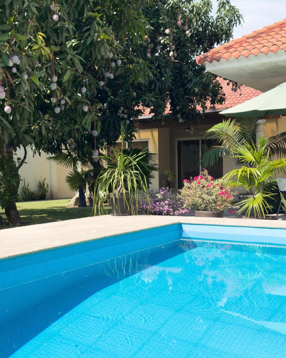 Apartamento 2 habitaciones, con piscina