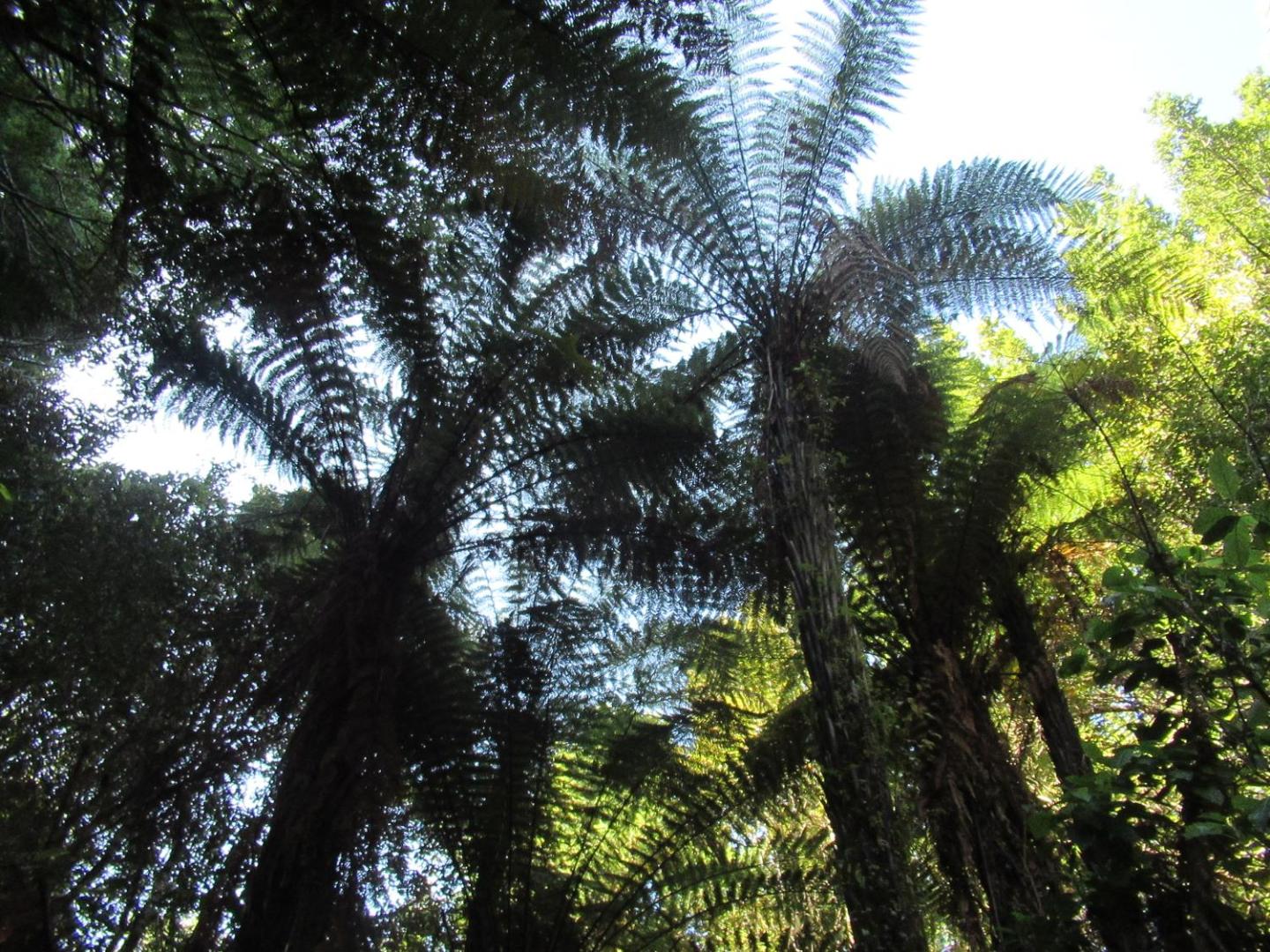 Beaconstone - Your Perfect Kiwi Escape 2