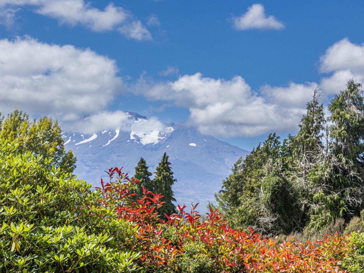 Maungatapu Studio 2 - Ohakune Holiday Home 1