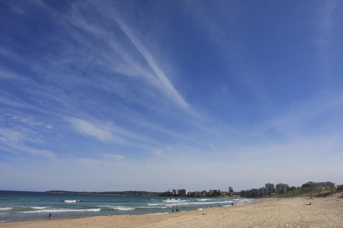 Apartment 1 bedroom, with garden