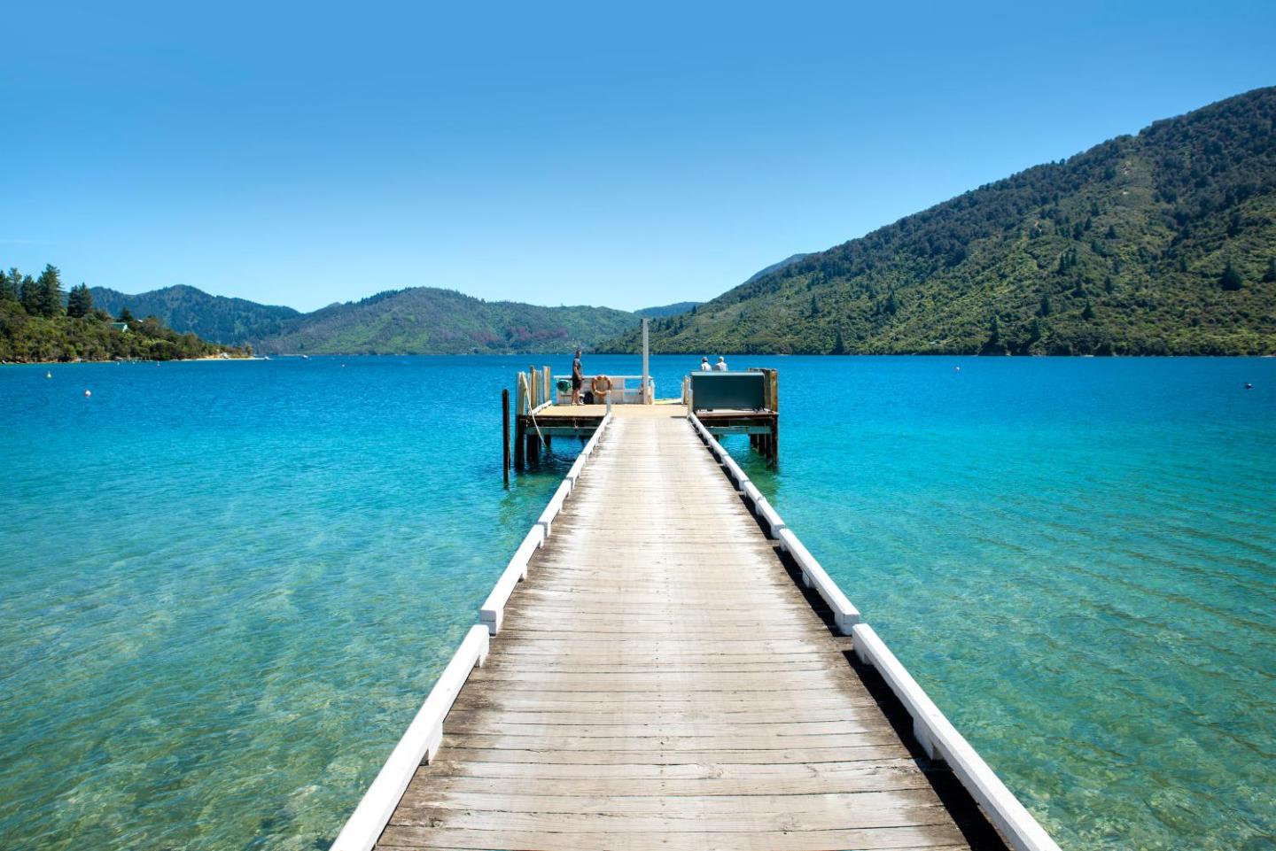 No Road Inn In Endeavour Inlet, Marlborough Sounds 3