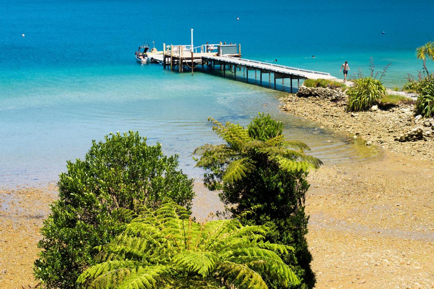 No Road Inn In Endeavour Inlet, Marlborough Sounds 2