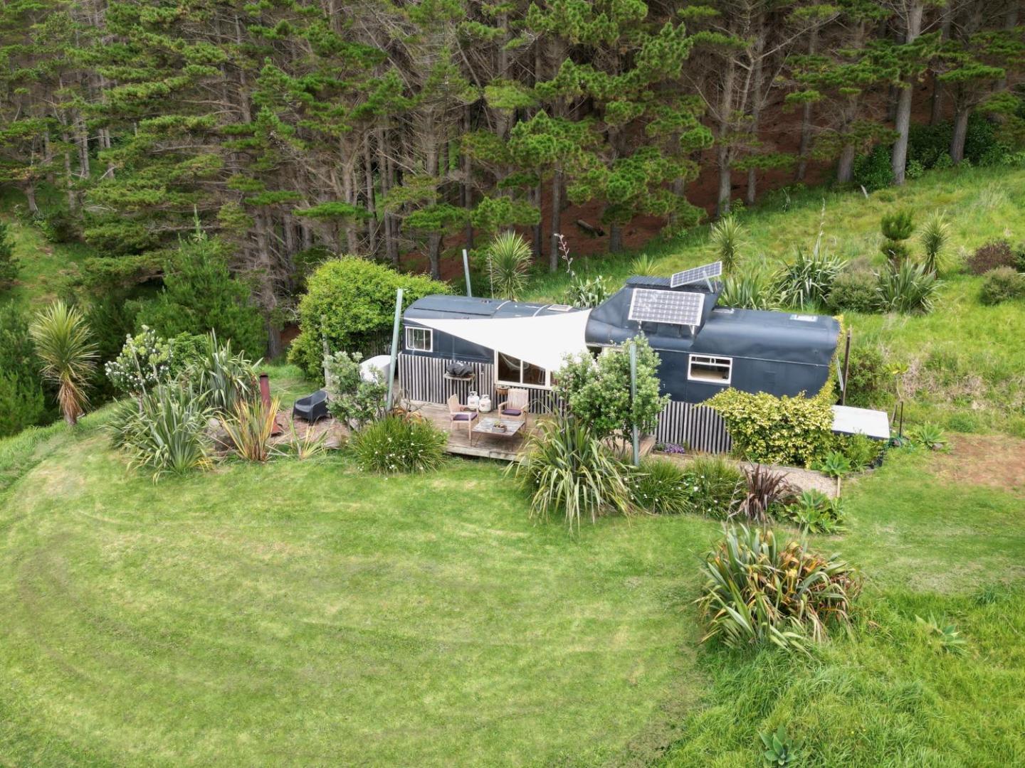 Raglan Lovebus 3