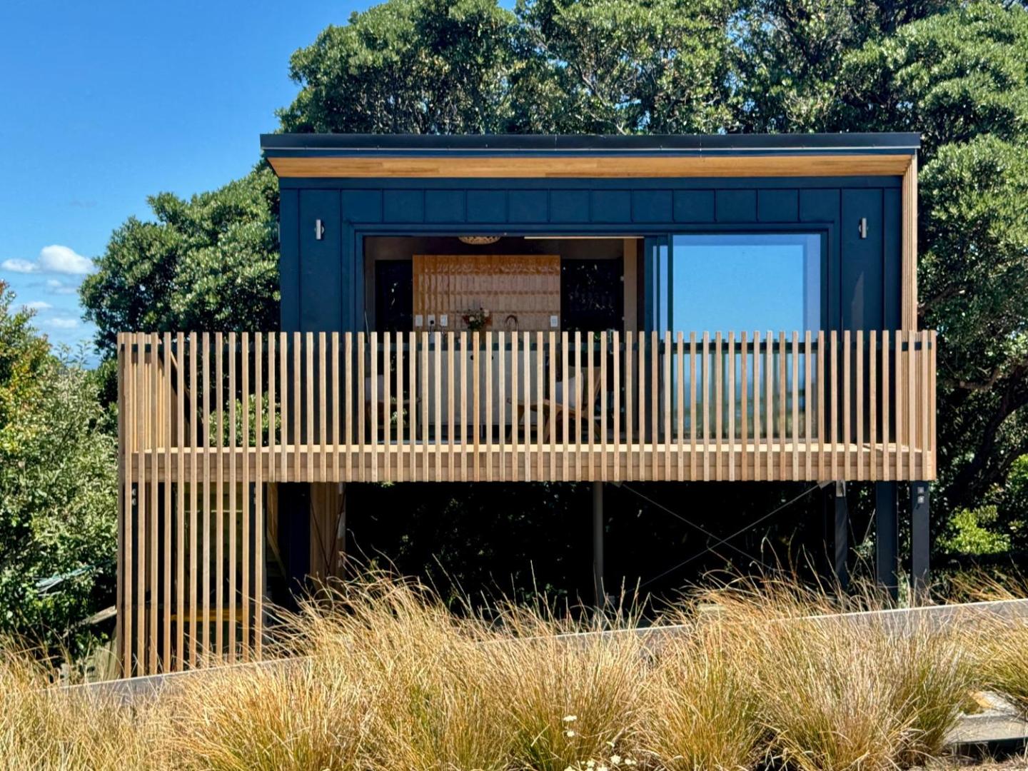Waiheke Horizons Palm Beach 4