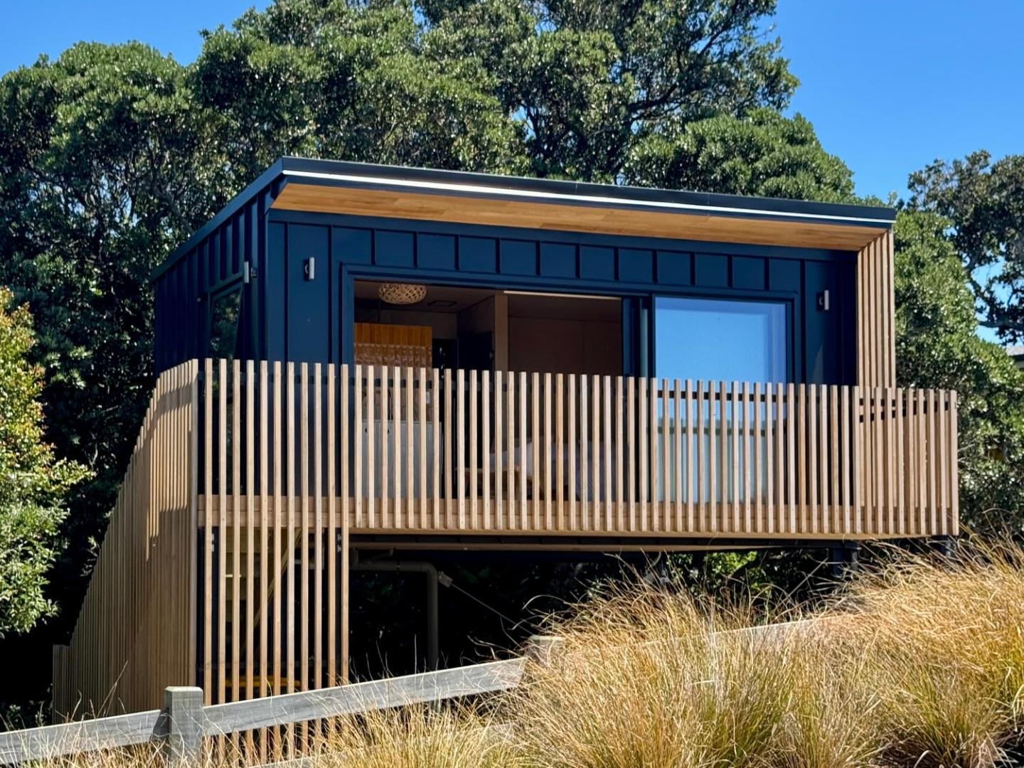 Waiheke Horizons Palm Beach 1