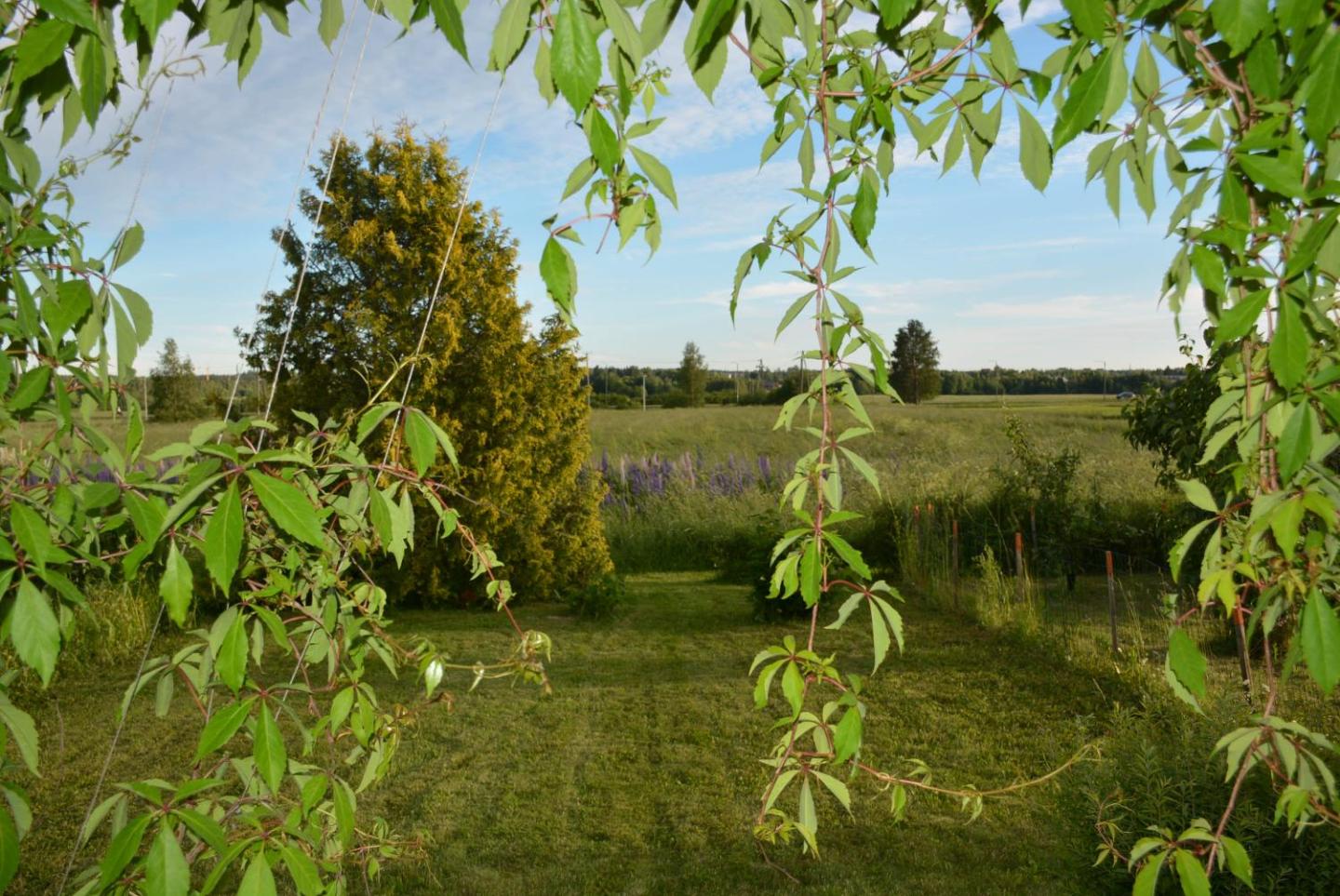 Viihtyisä Pikkukoti Forssassa - Tiny Cosy Home In Forssa 3
