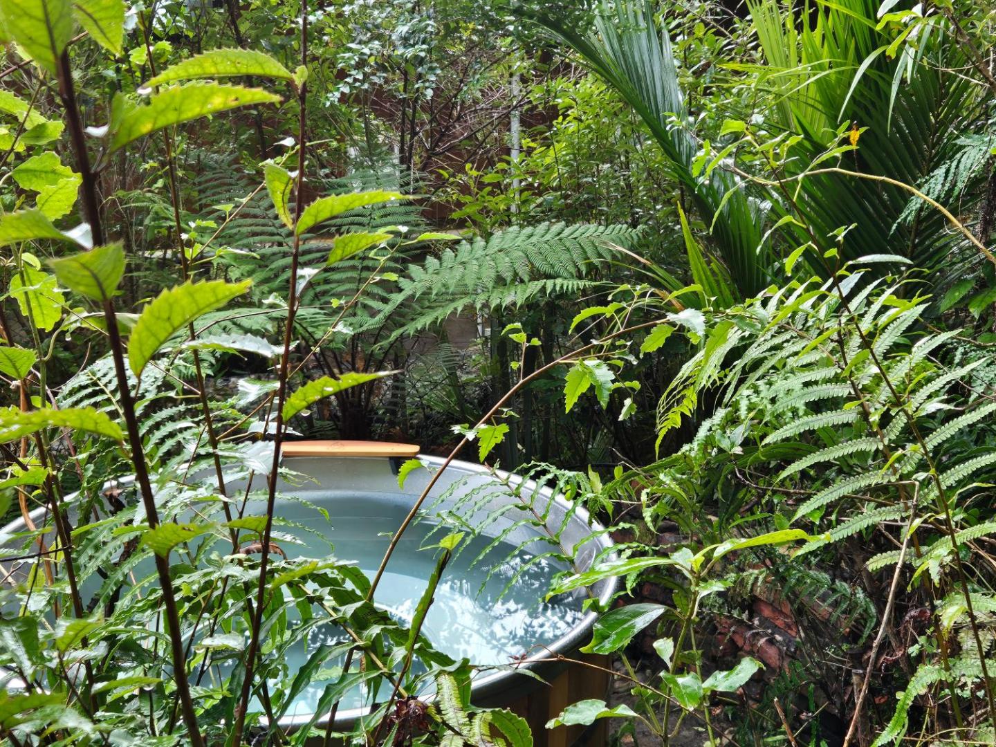 Treescapes - Rainforest Hot Tub 2km From Punakaiki 3
