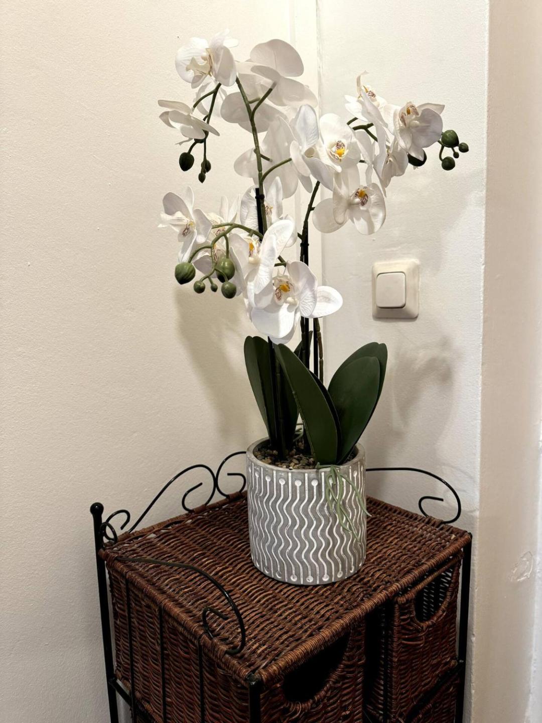 Ullanlinna Unique In The Heart Of Helsinki For 2-4 Persons - Free Wifi 4