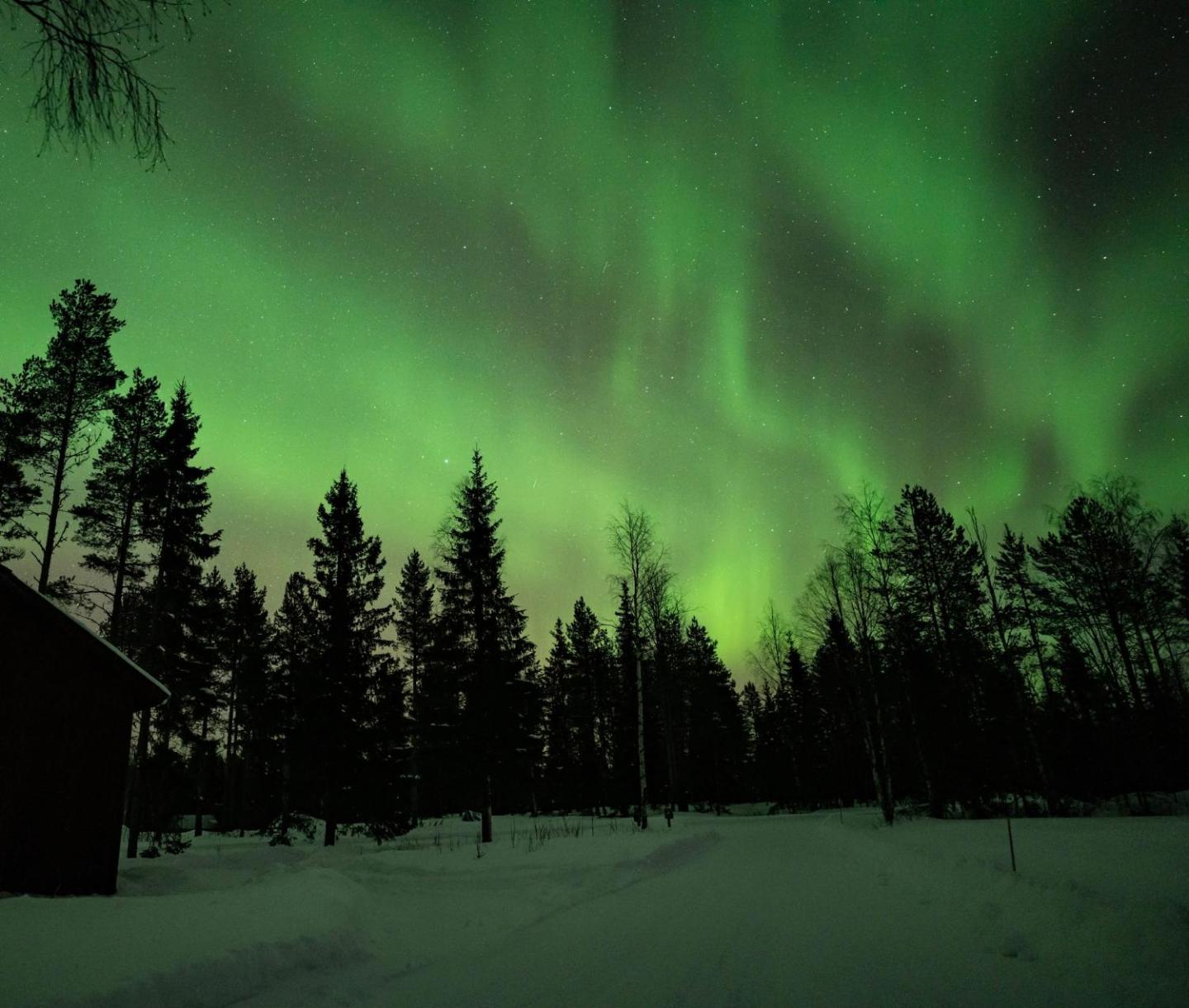 Autiojärven Kelomökki 85m2 5