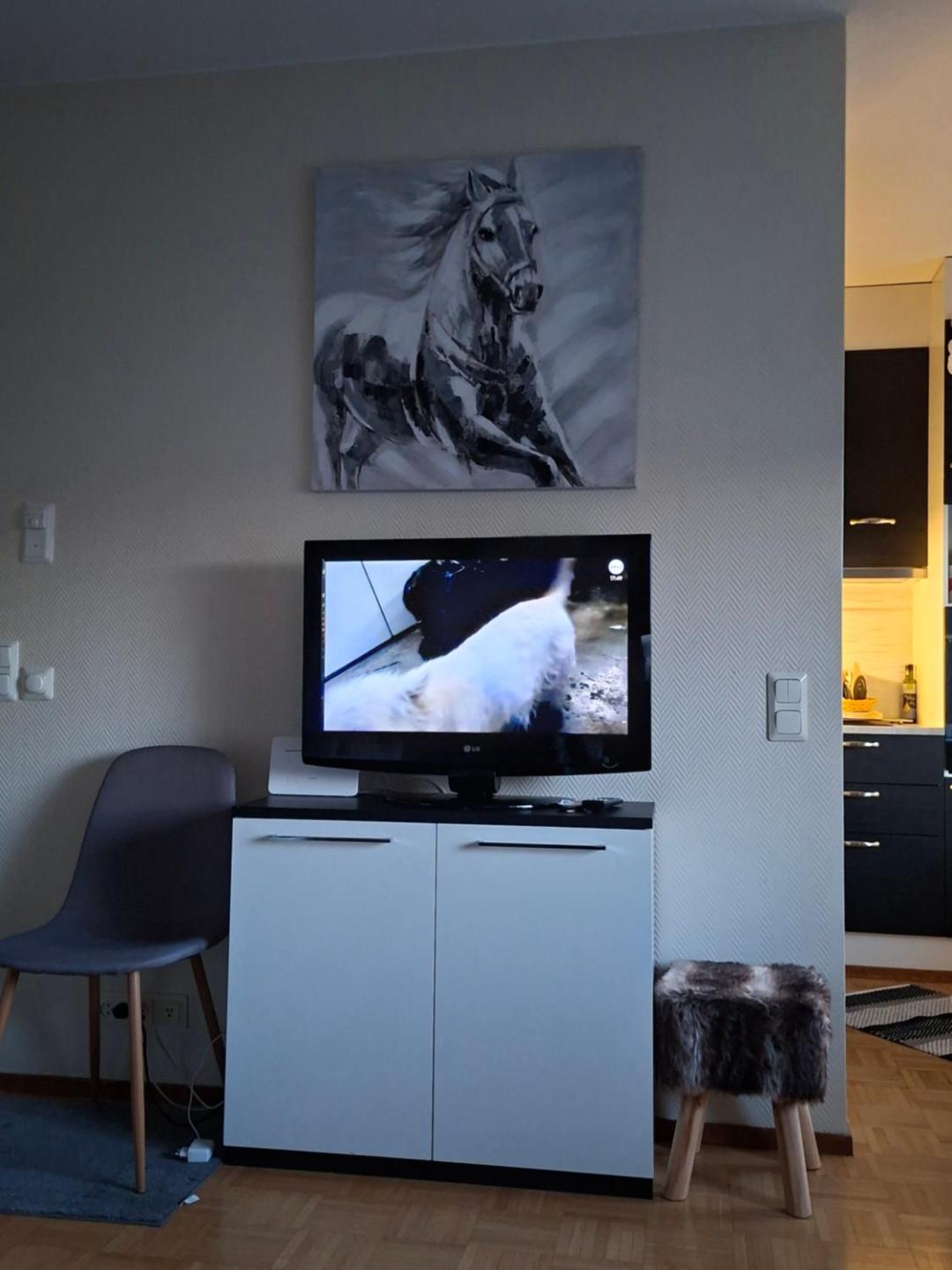 Saunallinen Yksiö 3