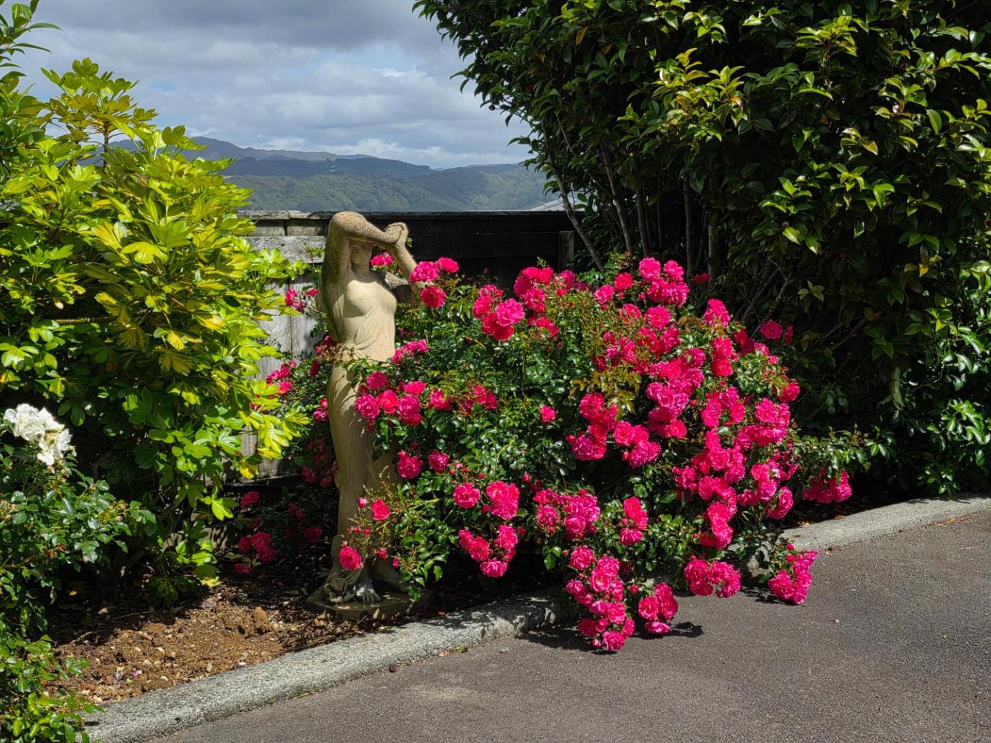 Riverstone Retreat Upper Hutt 5