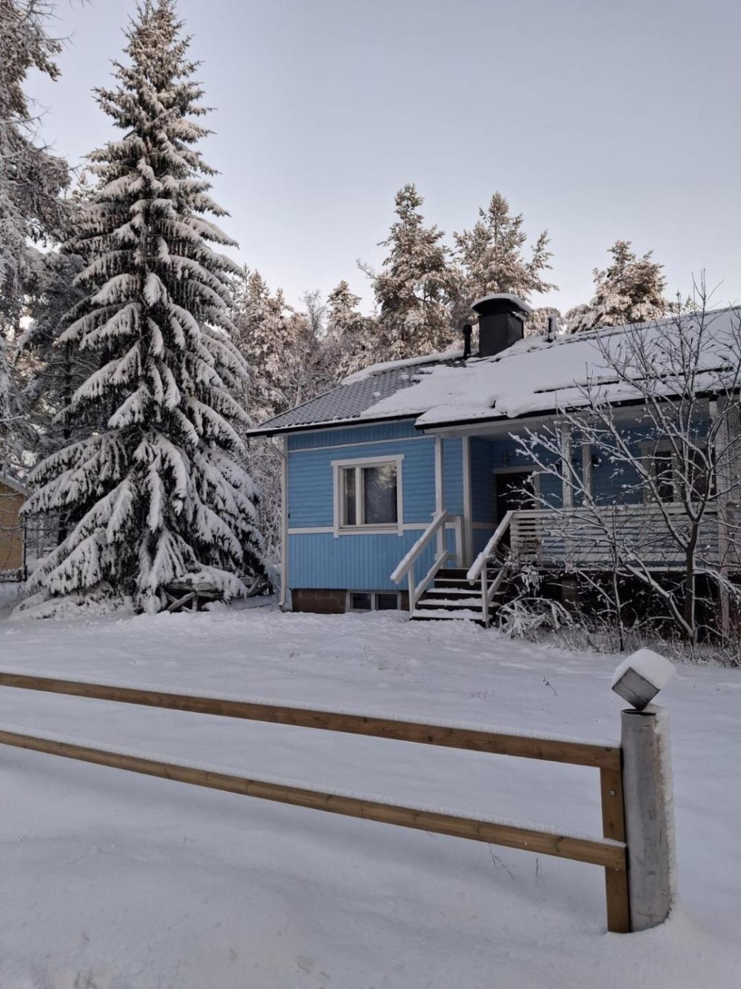 Traditional Finnish Lapland House At Wild Forest Backyard! 2