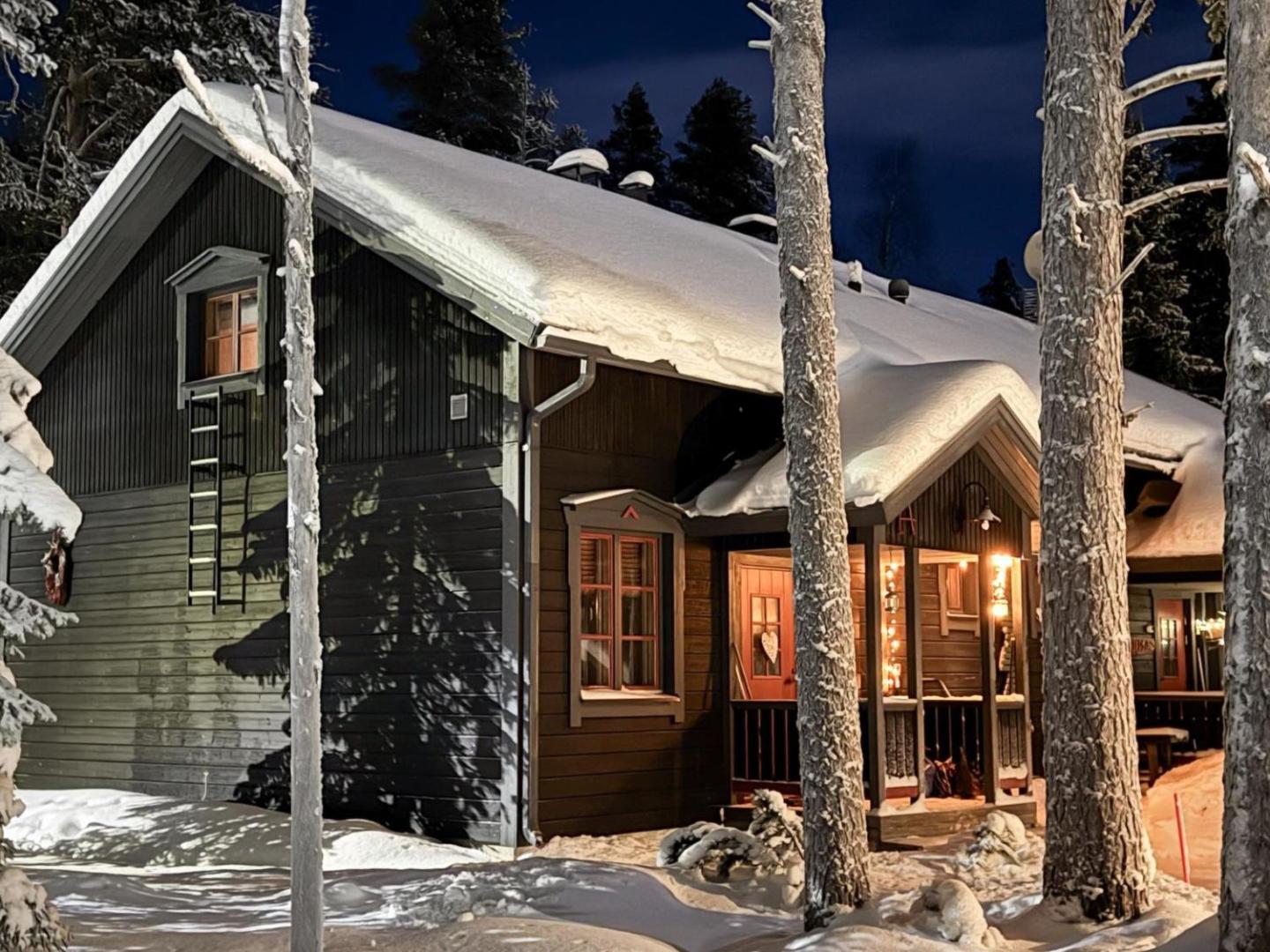 Holiday Home Alppitalo A By Interhome 2