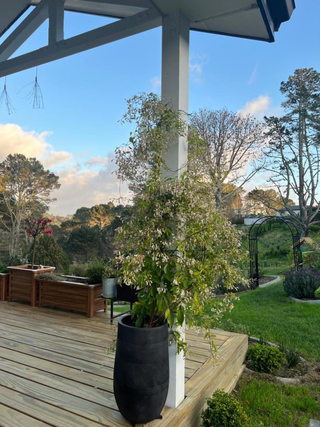 Peaceful Bush Getaway 5