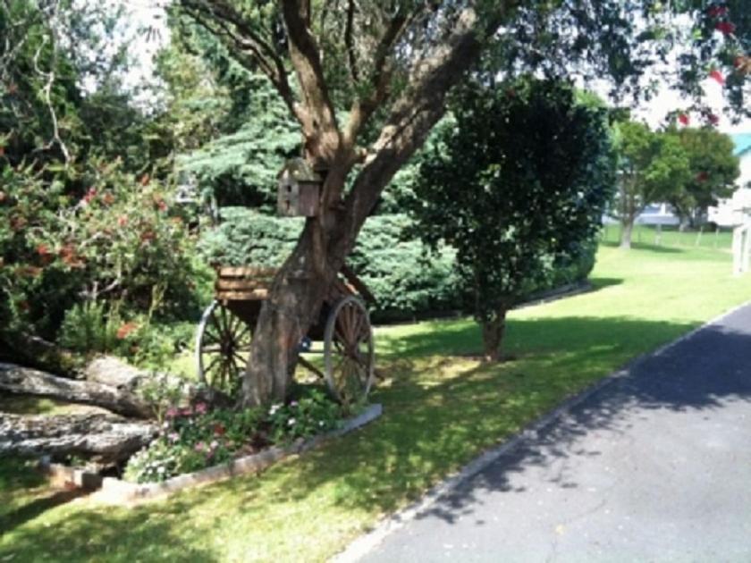 Dargaville Motel 4