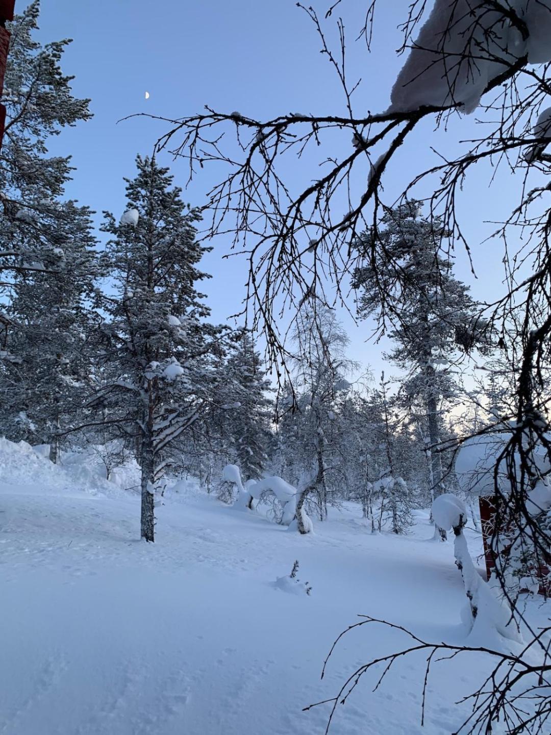 Saariselällä Rauhaisa,uniikki, Sielukas Hirsimökki- Luxury Cottage 3