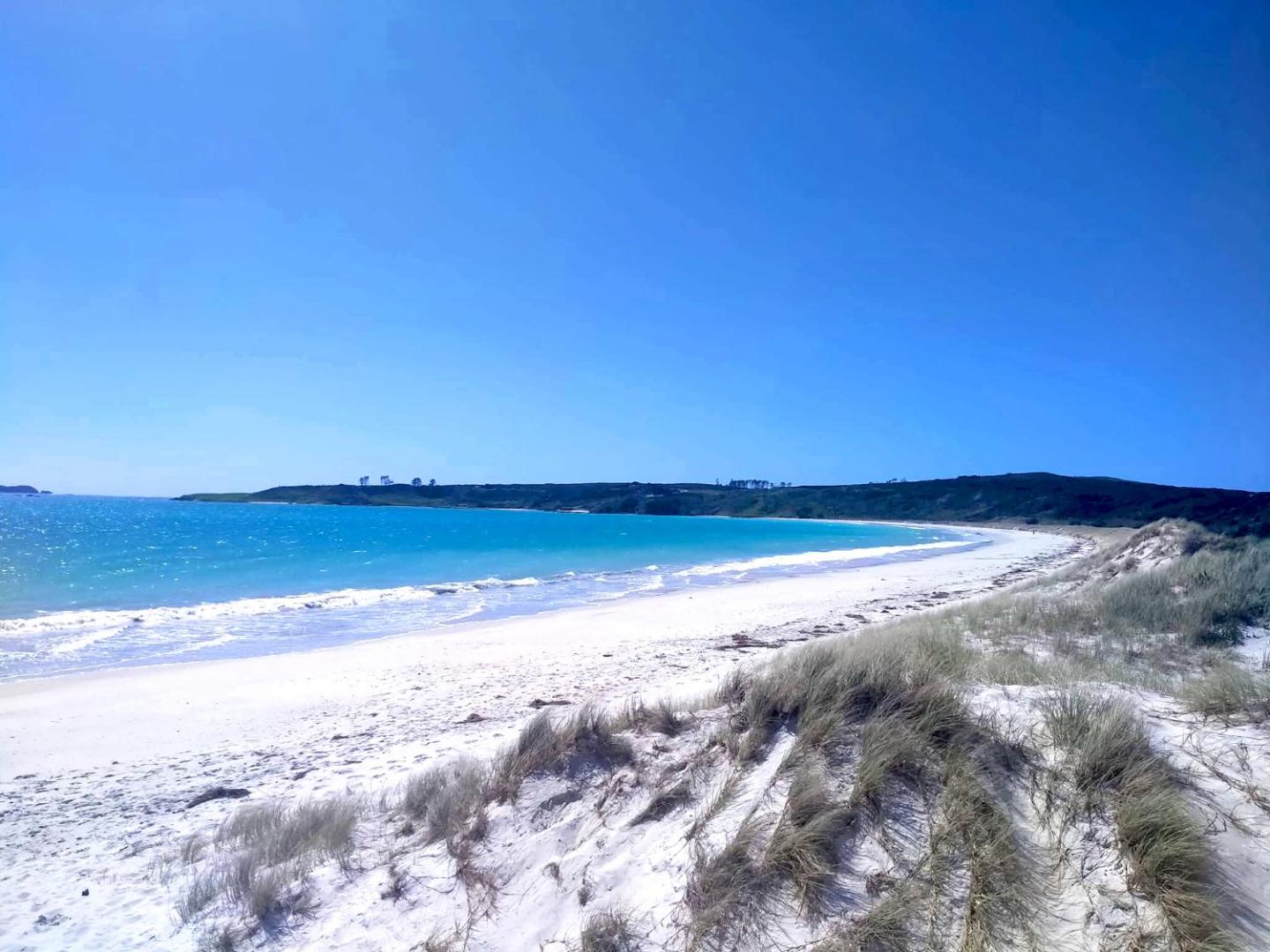 Seascape Peninsula Bach 2