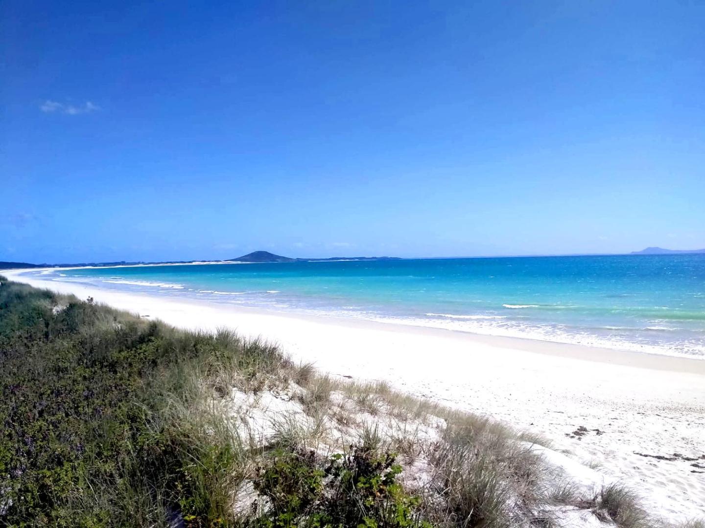Seascape Peninsula Bach 1