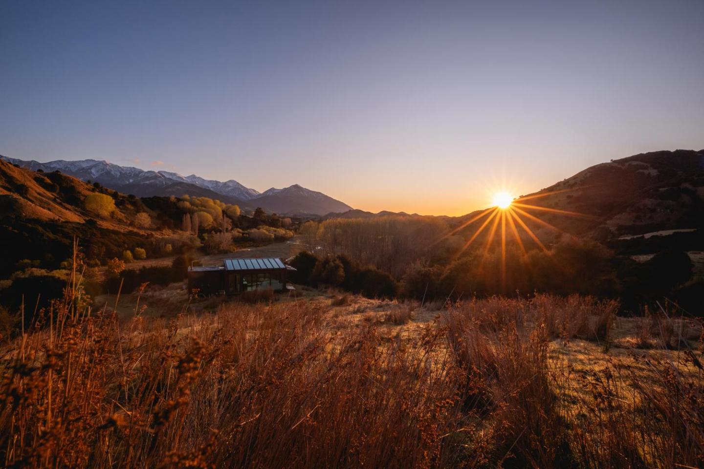 Kahutara Purepod - Luxurious Glass Eco-cabin 4