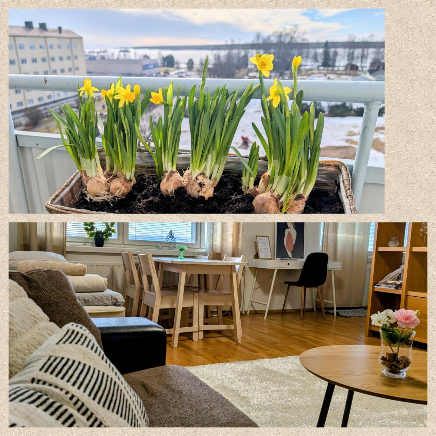 Beautiful Apartment With Seaview! Top 7th Floor Free Parking! 2