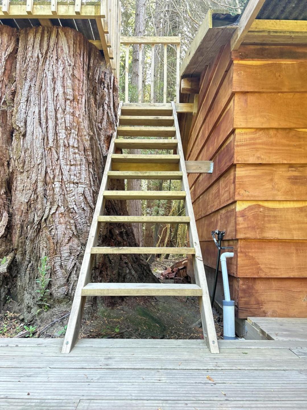 Secluded Redwood Cabin 4