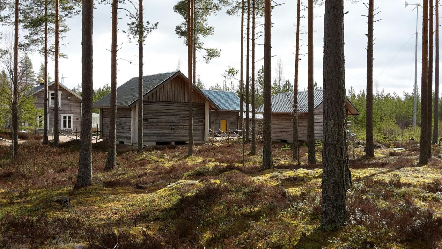 Ahmalammen Mökkikylä 2