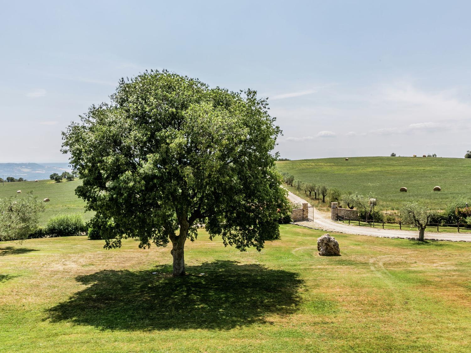 Others, Belvilla by OYO Elegant apartment 1 hour from Rome, Terni