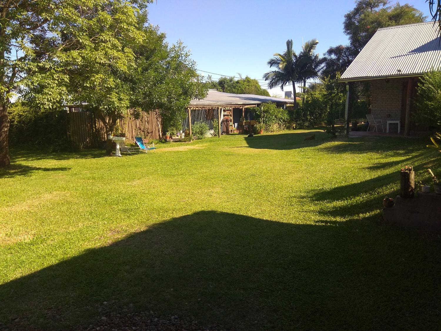 Garden, Blue House, Concordia