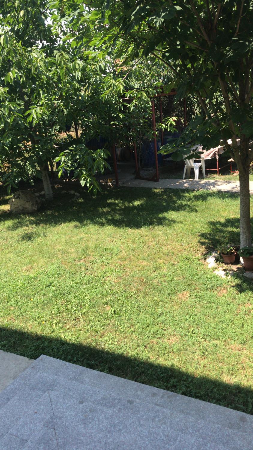 Garden 4, Villa Rosa, Navodari