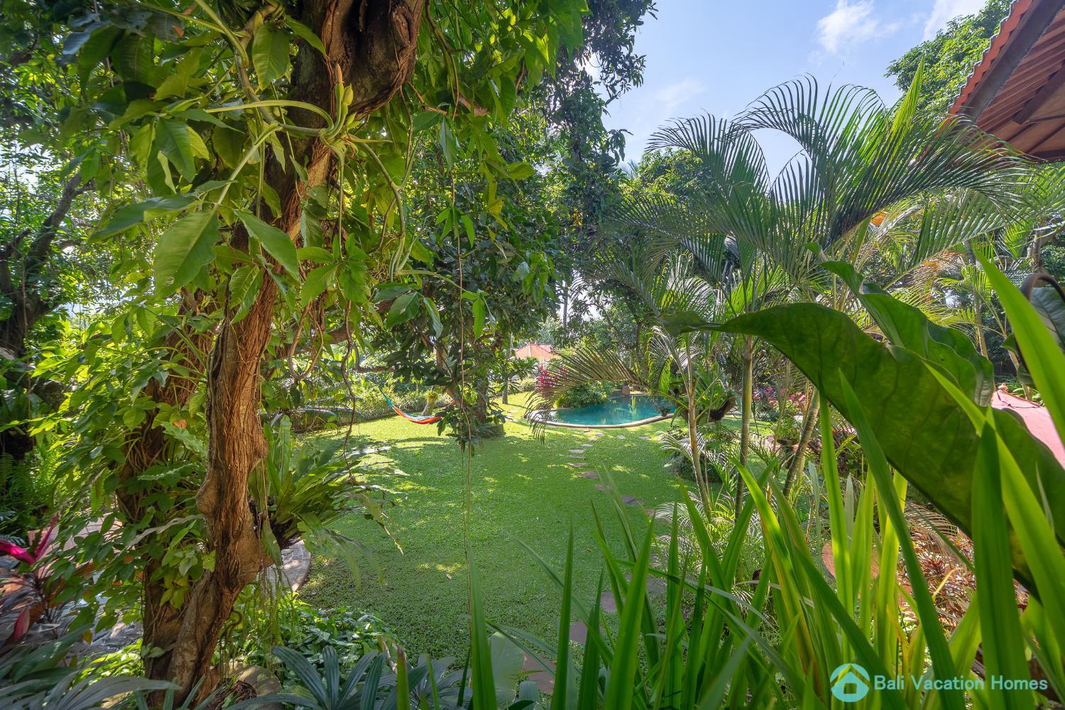 Others 5, Wonderful luxury hideaway surrounded by nature!, Buleleng