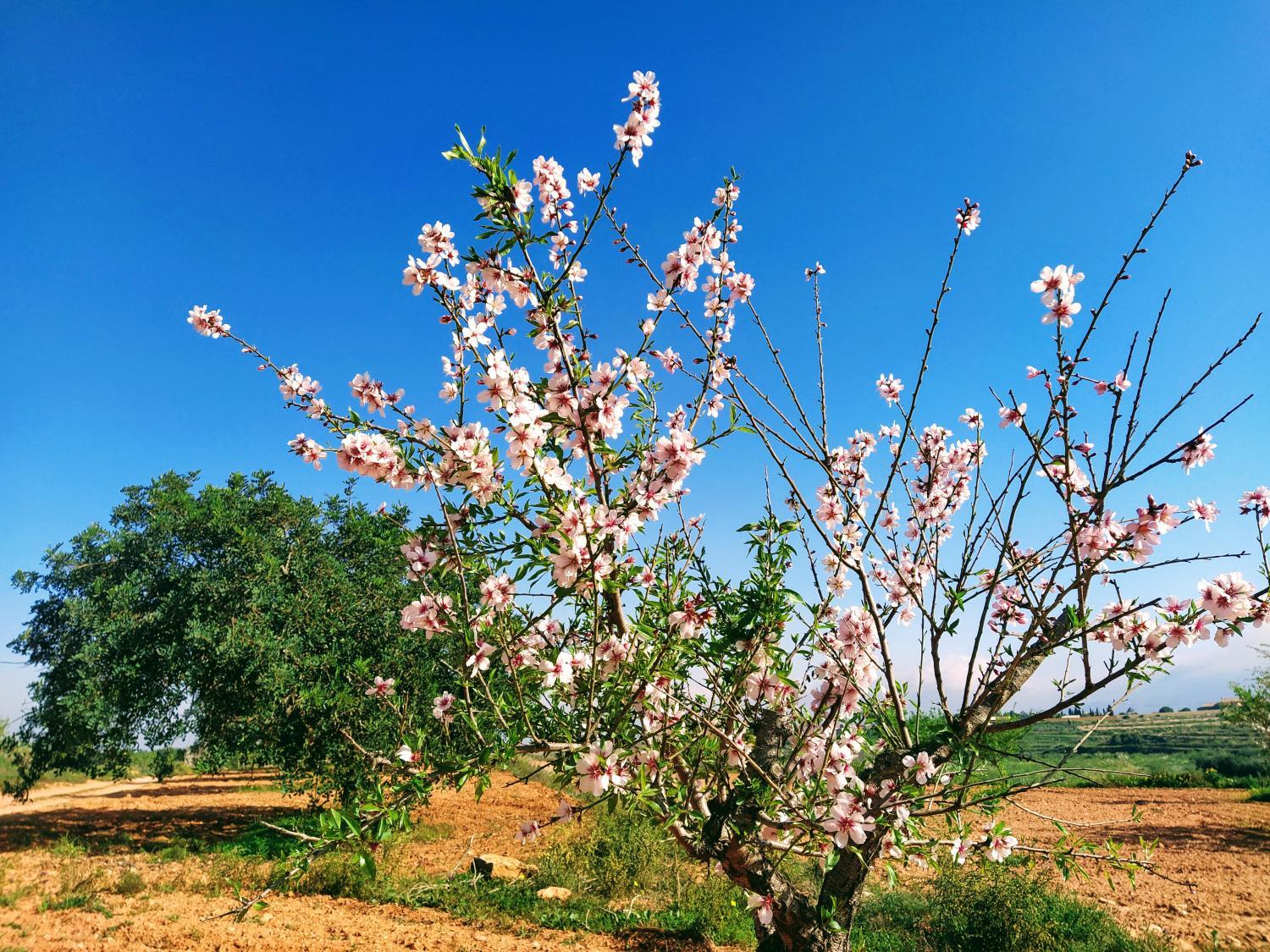 Sports and activities 4, Espacio Finca Alegria - Rural Houses, Hostel, Campsite & Wellness Center, Murcia