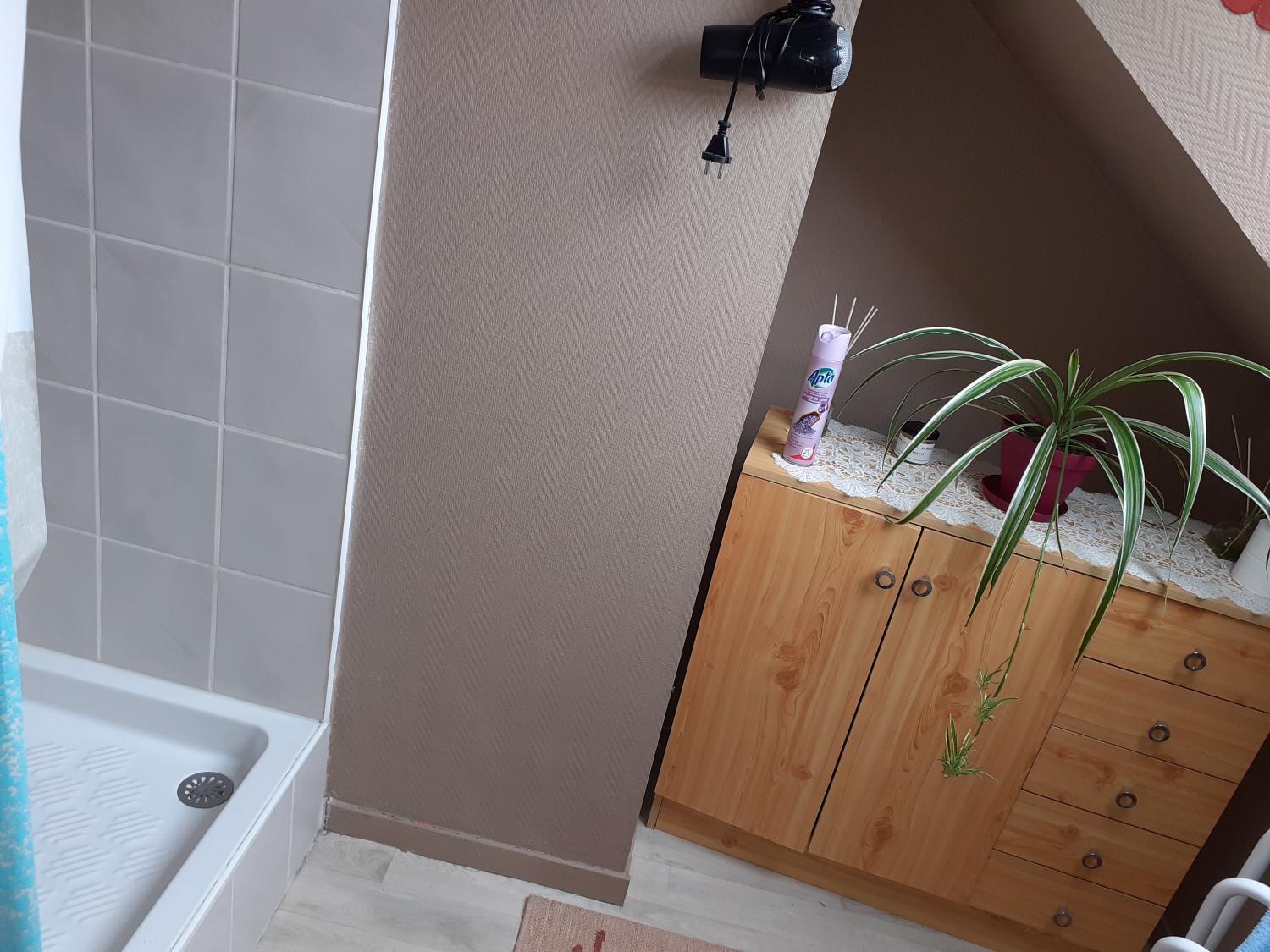 Bathroom, petit coin au calme, Ille-et-Vilaine