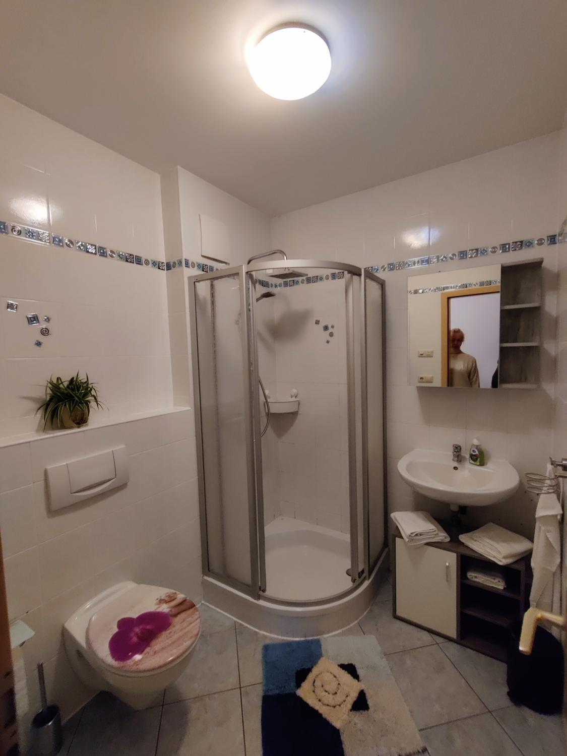 Bathroom, Ferienwohnung Brunow "In der Natur Zuhause", Saale-Orla-Kreis