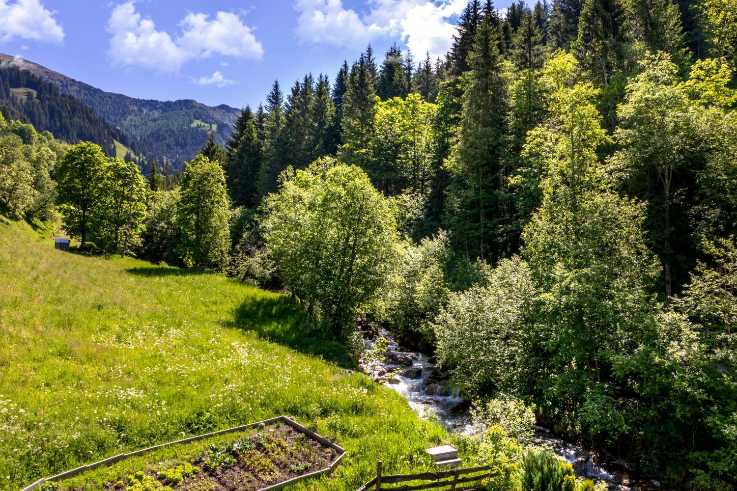 View 2, Bauernhof Klausbauer, Sankt Johann im Pongau