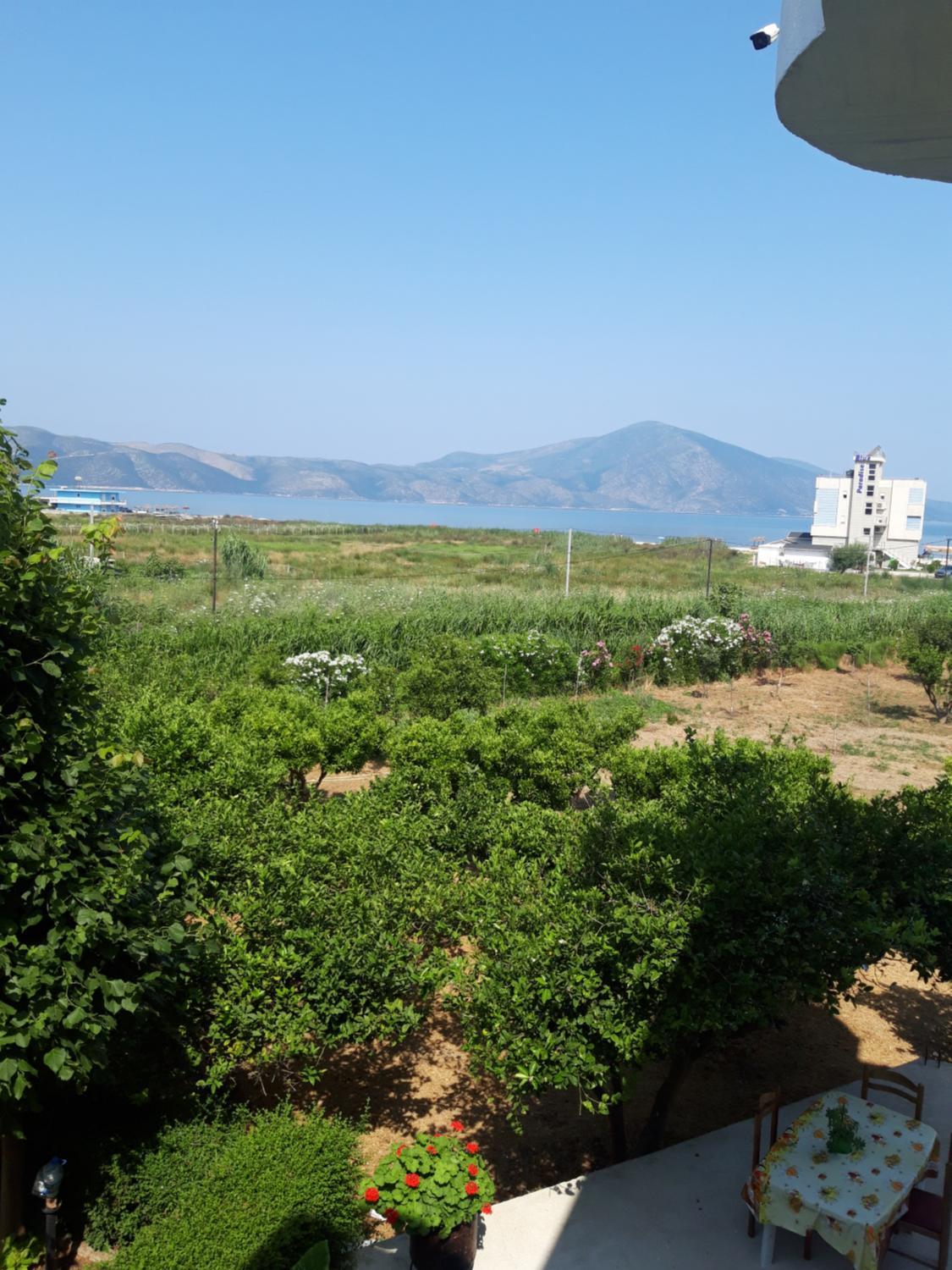 3, AGRON, Vlorës
