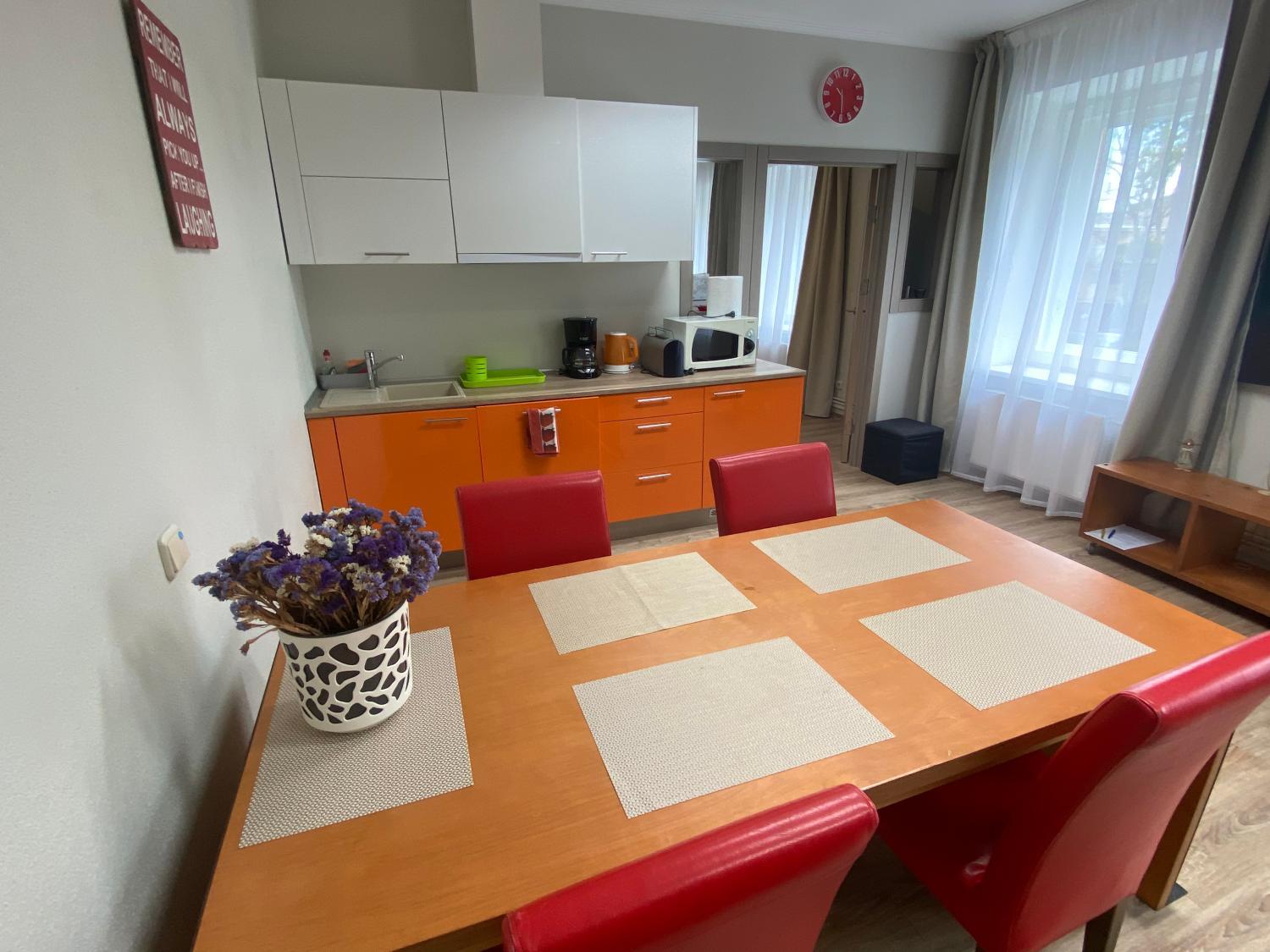 Family or Group Apartment in Silent Center, Riga