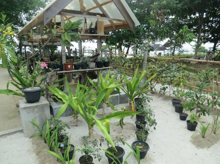 Others, Wind in your hair is a real luxury, Bintan Regency