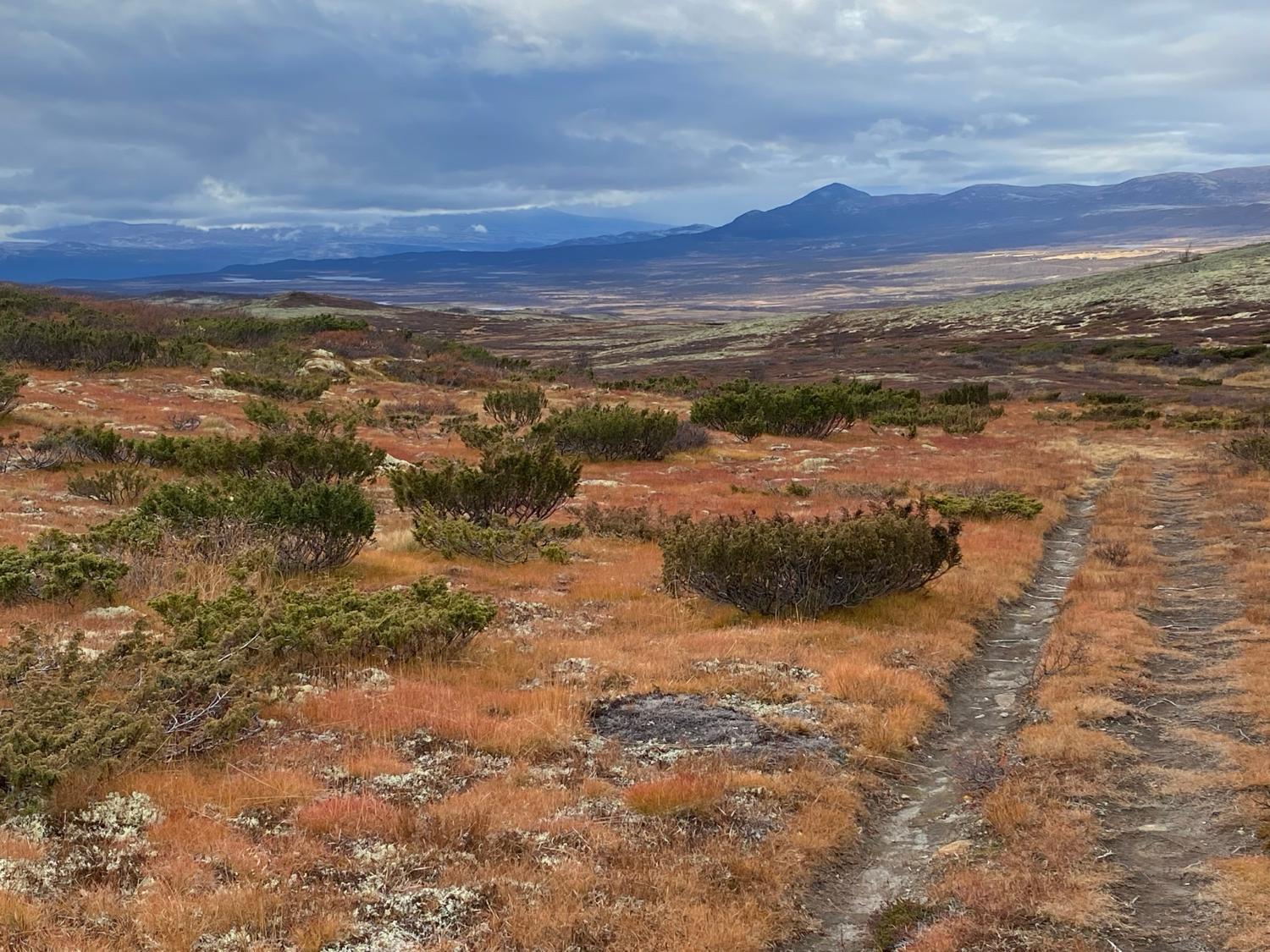 2, Trollvang, Dovre
