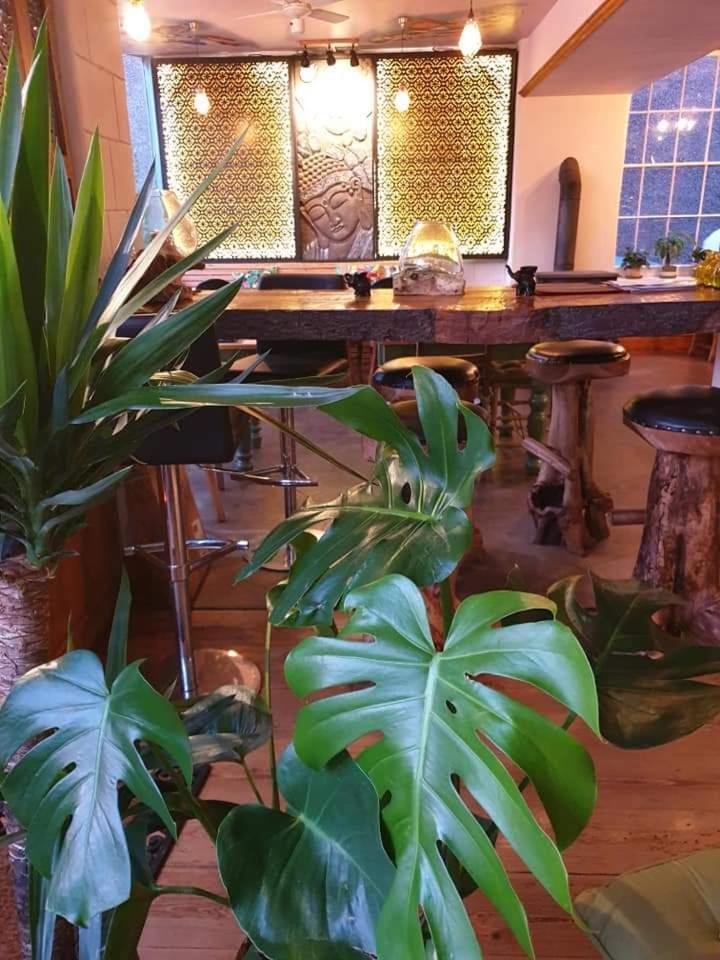Food & Drinks, Banyan tree, Derbyshire