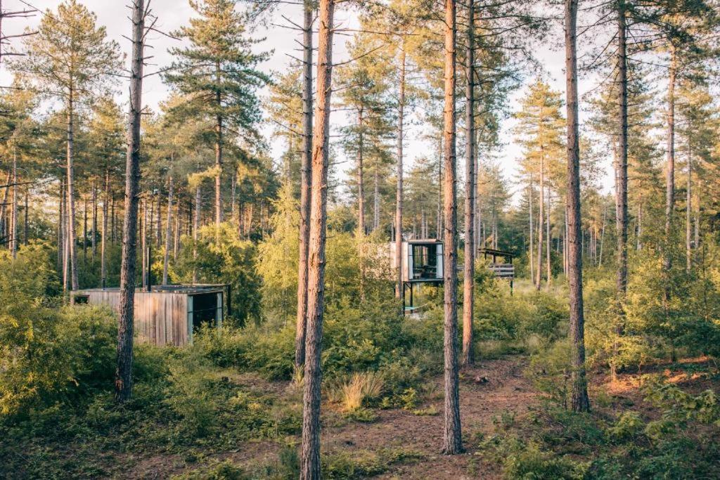 5, Recreation Park Warredal, Limburg